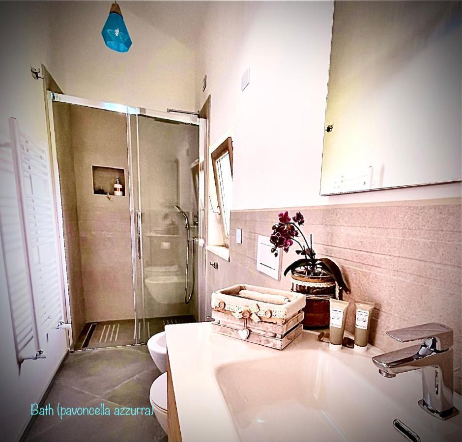 B&B Le Pavoncelle Sarde 弗里米尼迪夸尔图 外观 照片